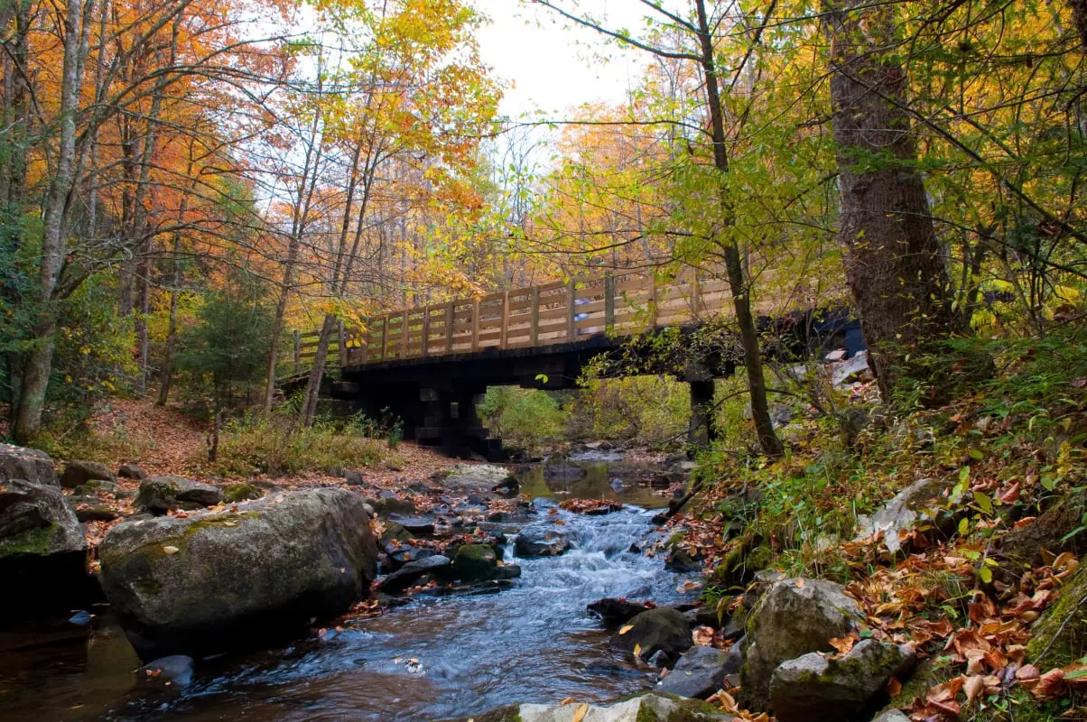 Bike the Virginia Creeper Trail Damascus, Virginia